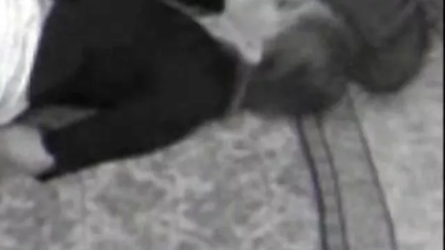 En iyi porno hiçbir kayıt Gözaltı sex pirno indir itiraf rahibe Taylor tekrar gördüm