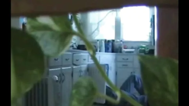 En iyi porno hiçbir kayıt Britney için ölmek mobil pornno izle